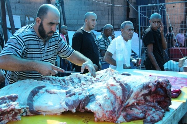  بالصور: جمعية يافا تُحيي سنة الأضاحي للعام الثاني عشر وأكثر من 500 عائلة مستفيدة